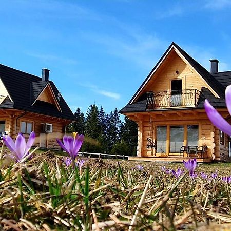 Jedroskowe Chatki Witow  Exterior photo