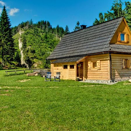 Jedroskowe Chatki Witow  Exterior photo