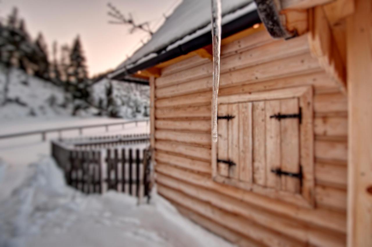 Jedroskowe Chatki Witow  Exterior photo