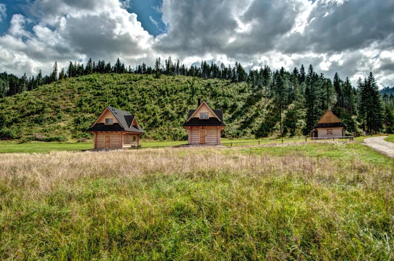 Jedroskowe Chatki Witow  Exterior photo