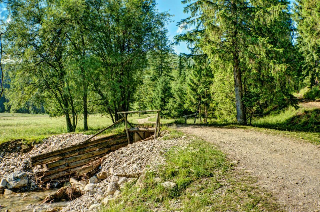 Jedroskowe Chatki Witow  Exterior photo