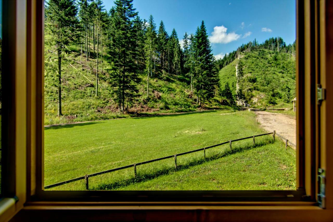Jedroskowe Chatki Witow  Exterior photo